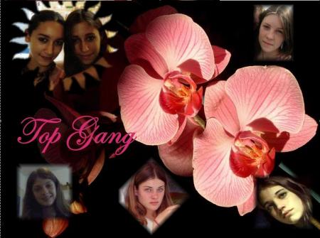 Top Gang